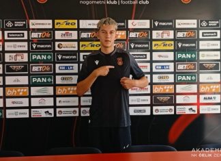 Zinedin Ćamić
