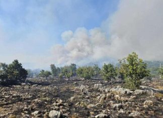 Veliki Pozar Kod Stoca Zahvacen Minski Sumnjiv Teren Cule Se I Eksplozije Pozar Stolac 687bbeb5d83c0