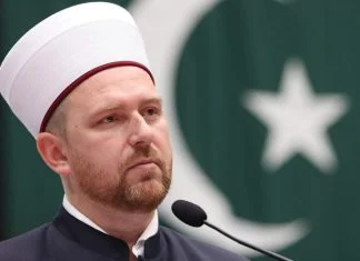 Sumedin Ef. Kobilica