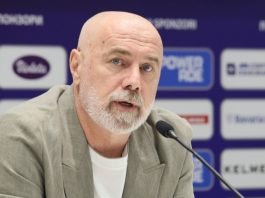 Sergej Barbarez