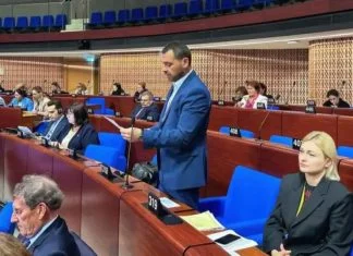 Magazinović u Strazburu: Vlast u Srbiji i danas promovira destruktivnu velikosrpsku ideologiju Magazinović