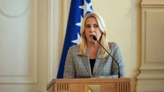Zeljka Cvijanovic Zeljka Cvijanovic