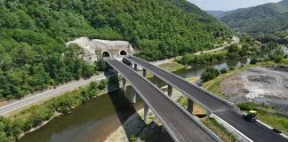 Dionica Poprikuse Nemila Foto Au