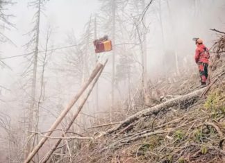 Ukradena mašina u Austriji “osvanula” u BiH, policija zna ko je počinilac