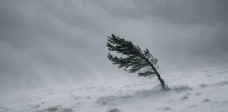 Vjetar