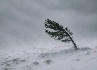 Vjetar