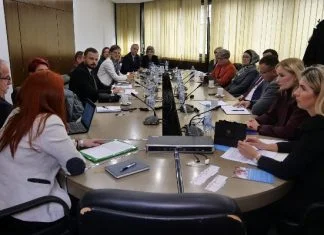 Novi koraci ka inkluziji: Stručnjaci i ministarstva ujedinjeni za djecu ZDK