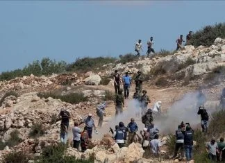 Ilegalni izraelski doseljenici napali Palestince, aktiviste i novinare tokom berbe maslina na Zapadnoj obali Ilegalni Izraelski Doseljenici Napali Palestince