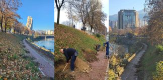 Sadnja Drveca Bulevar Zenica