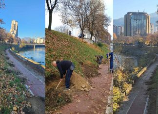 U toku aktivnosti na formiranju novog drvoreda na bulevaru uz obalu rijeke Bosne i dopuni postojećih drvoreda u naselju Babina rijeka (FOTO) Sadnja Drveca Bulevar Zenica