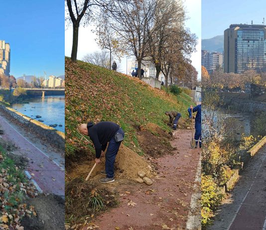 Sadnja Drveca Bulevar Zenica