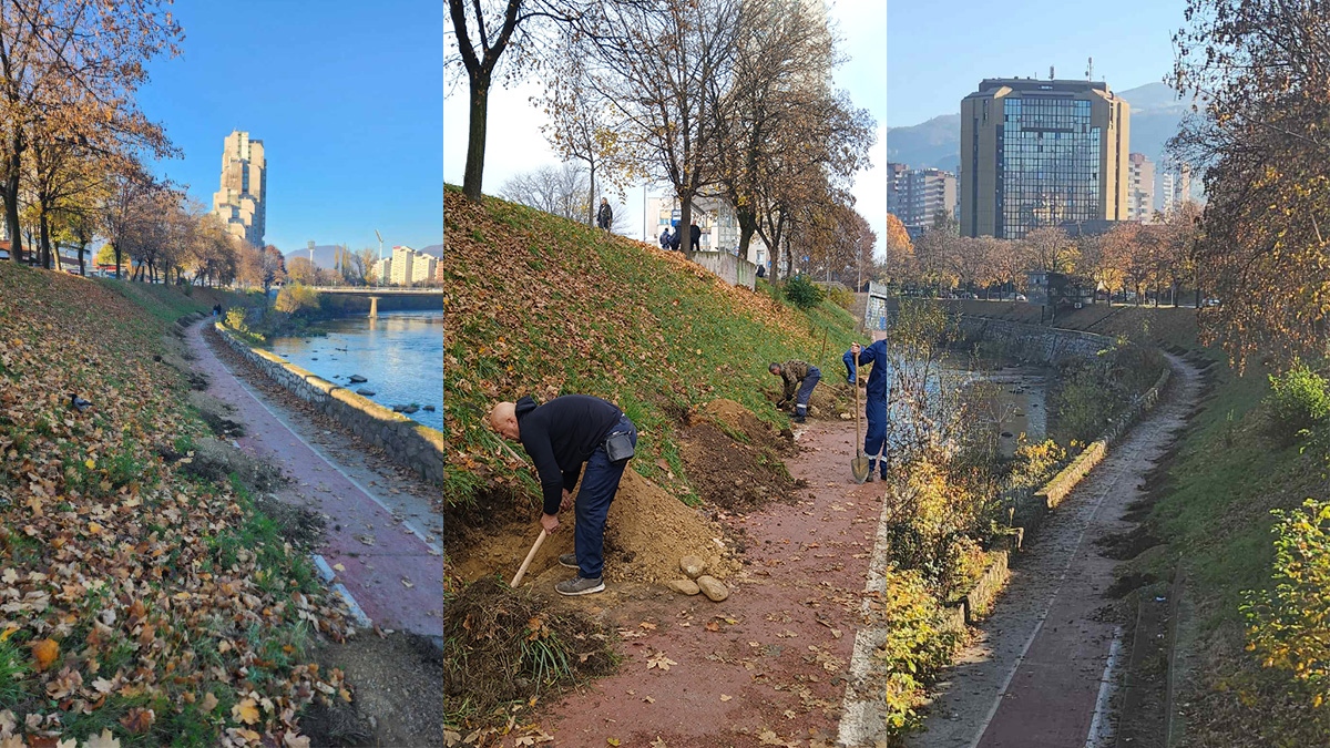 Sadnja Drveca Bulevar Zenica