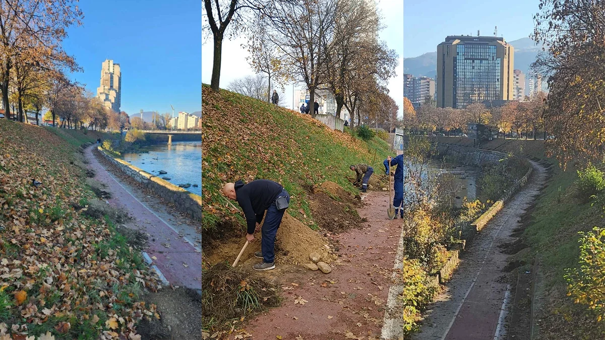 Sadnja Drveca Bulevar Zenica