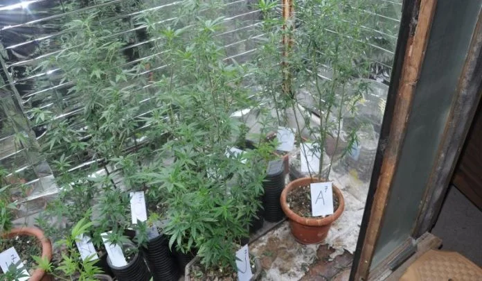 Policija u Žepču pronašla laboratoriju za uzgoj indijske konoplje (FOTO)