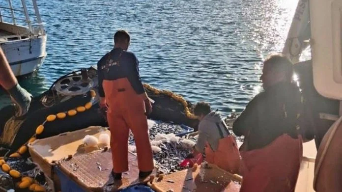 Jadransko More Zatrpano Plastikom