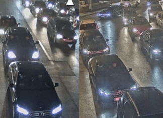 Polish 20251220 182247476