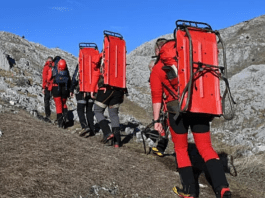 Polish 20251223 065522680