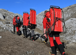 Polish 20251223 065522680