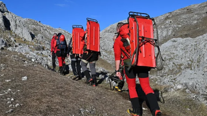 Polish 20251223 065522680