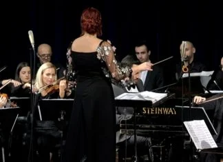 Kamerni simfonijski orkestar Zenica proslavio Novu godinu spektaklom klasične muzike