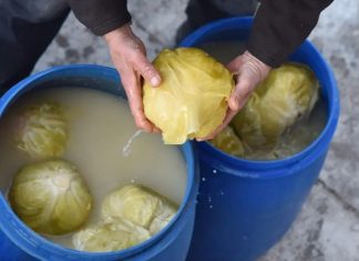 Kiseli kupus može da traje do ljeta, samo dodajte ovaj sastojak Kiseli Kupus