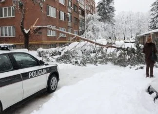 Na Grbavici u Sarajevu palo stablo na žensku osobu, nažalost nije preživjela