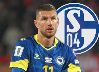 Edin Džeko Schalke 04