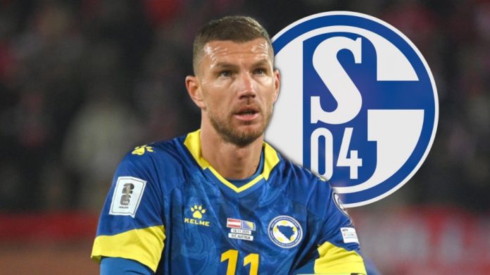 Edin Džeko Schalke 04