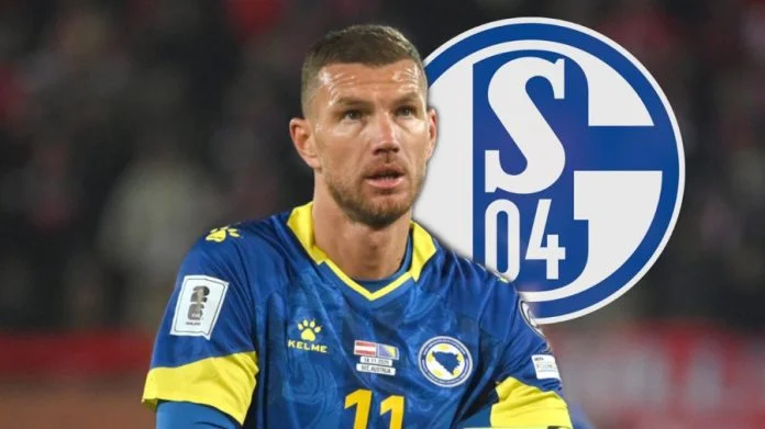 Edin Džeko Schalke 04