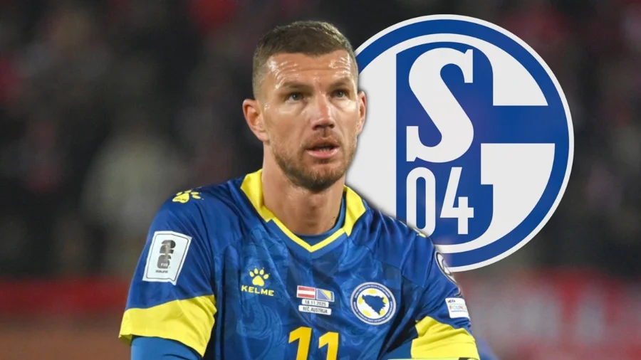 Edin Džeko Schalke 04