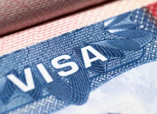 SAD, Viza