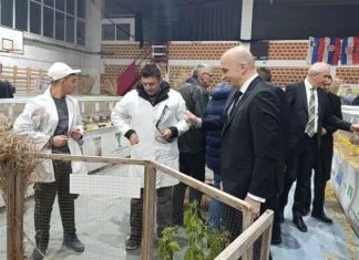 Tešanj Izložba Sitnih životinja 2