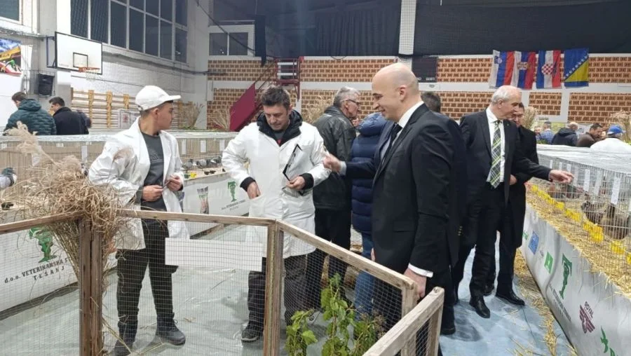 Tešanj Izložba Sitnih životinja 2