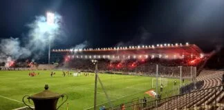 Bilino polje