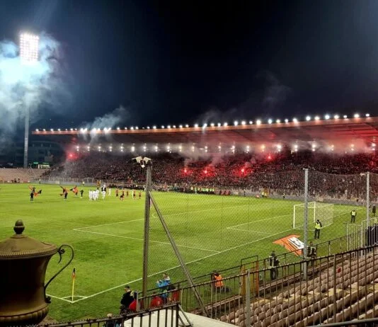 Bilino polje