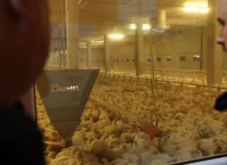 Ministar Čajić posjetio uspješne farme u Visokom