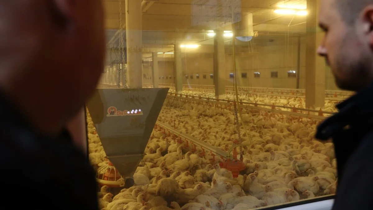 Ministar Čajić posjetio uspješne farme u Visokom