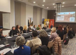 U BiH zastupljenost žena ispod zakonskog praga, mladi nevidljivi