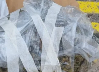 U Zenici i Kaknju oduzeto više od kilogram droge, četiri osobe uhapšene