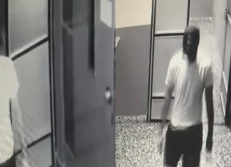 Oštećena privatna imovina u centru Zenice: Zeničanka objavila snimak i traži pomoć građana (VIDEO)