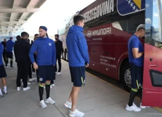 Zmajevi stigli u Toronto: Dočekao ih autobus sa zanimljivom pričom (FOTO)