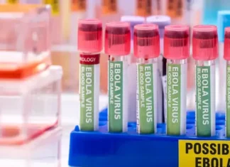 Tri vakcine protiv ebole u razvoju usljed rastućih strahova od širenja epidemije