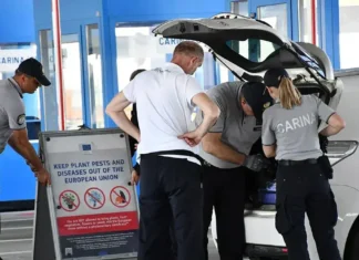 Koliko cigareta putnici iz BiH smiju prenijeti preko granice?