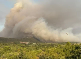 Gori i Pelješac, vatra se širi prema naselju