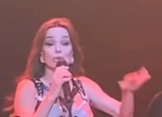 Severina na koncertu poslala snažnu poruku: Kad priznamo ono što se desilo u Srebrenici, bez toga nema dalje (VIDEO)