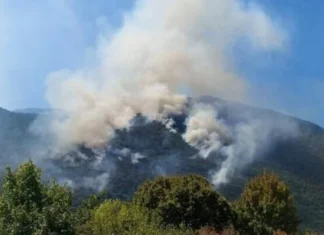Predsjedništvo BiH odobrilo angažman helikoptera na Plješevici