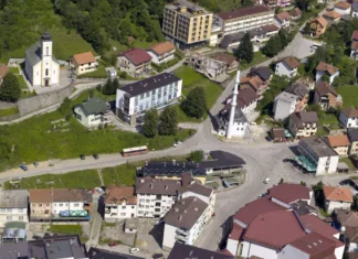 Oštra reakcija Helsinškog odbora za ljudska prava u Srbiji na skup povodom smrti Mladića u Srebrenici