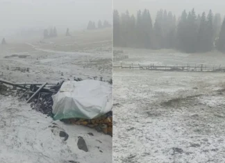 Prvi snijeg pao i na Vlašiću