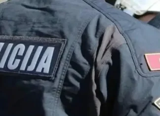 Crnogorska policija spriječila skup podrške zločincu Ratku Mladiću