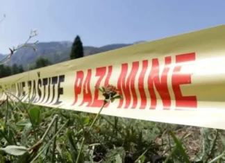 Eksplodirala mina kod Bugojna, stradalo desetak ovaca